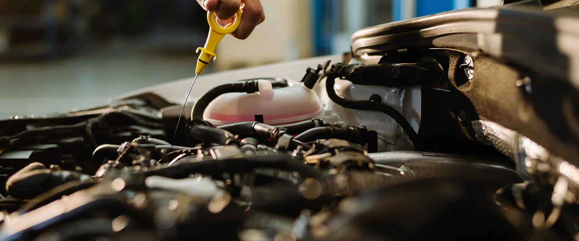 Oil Changes near Randolph, MA